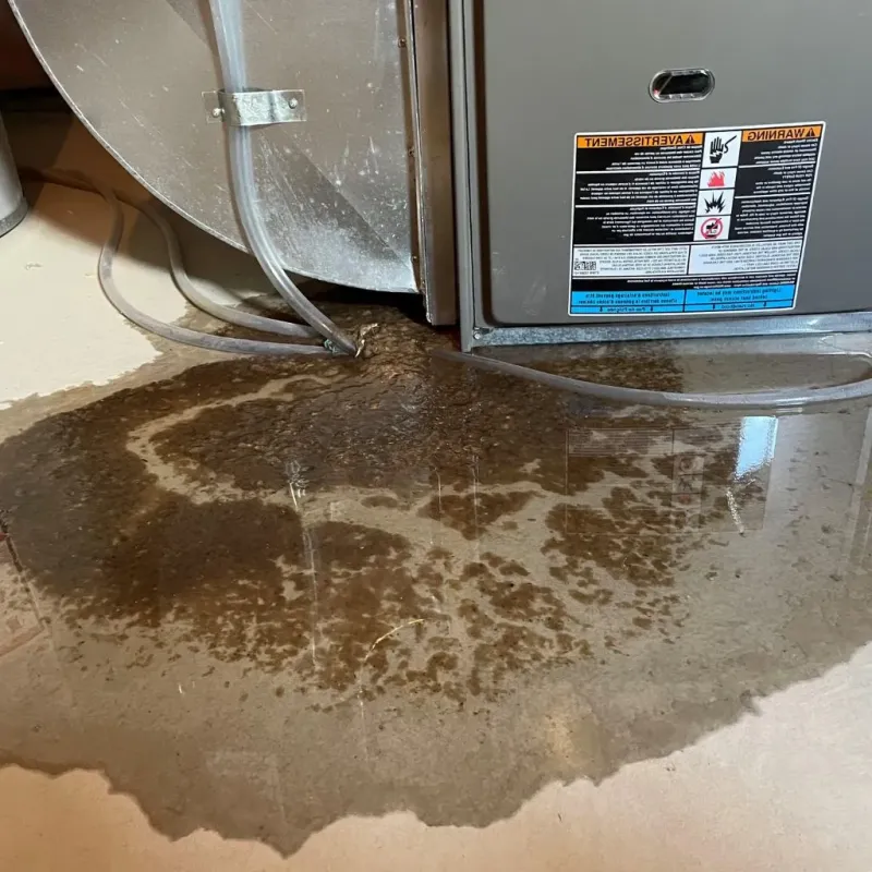 Pipe Burst and Leak Restoration in Allen, TX