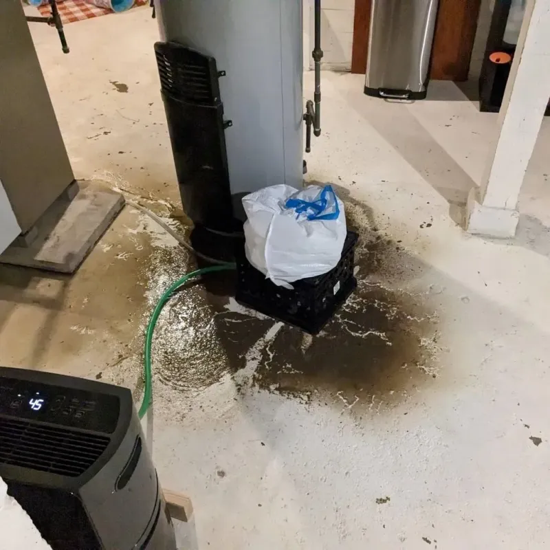 Sewage Backup Cleanup Service in Allen, TX